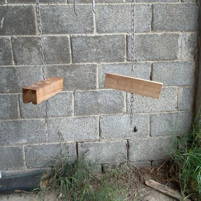 Giochi per suini
